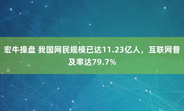 宏牛操盘 我国网民规模已达11.23亿人，互联网普及率达79.7%